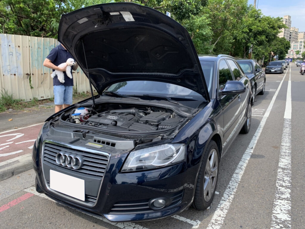 高雄楊先生 AUDI A3 (3)